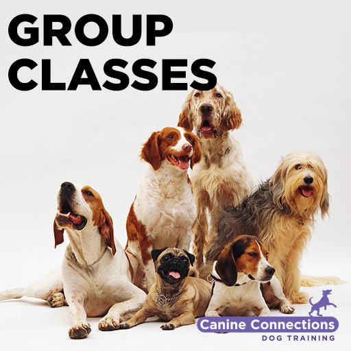 Group Classes